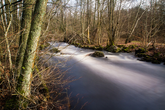 24904983170_01b003db21_z